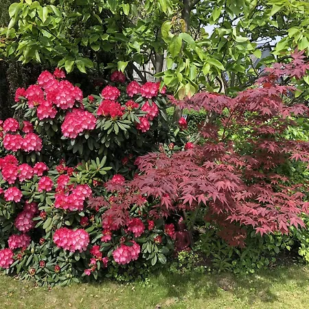 Bel Art Atelier Mit Grossem Parkplatz Apartamento *