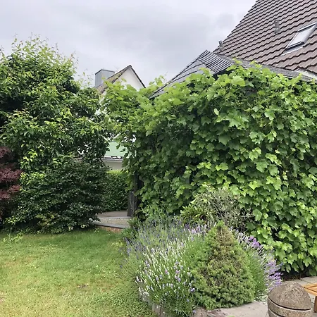 Bel Art Atelier Mit Grossem Parkplatz חאן