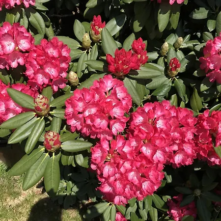 Bel Art Atelier Mit Grossem Parkplatz * חאן