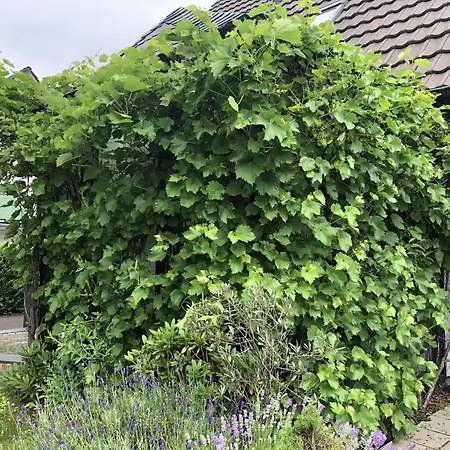 דירה Bel Art Atelier Mit Grossem Parkplatz