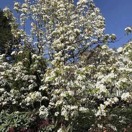 דירה Bel Art Atelier Mit Grossem Parkplatz