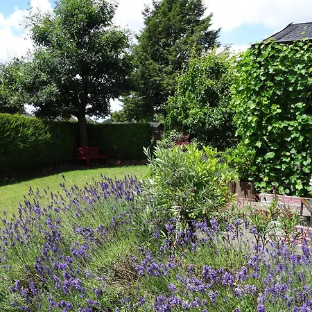 דירה Bel Art Atelier Mit Grossem Parkplatz *