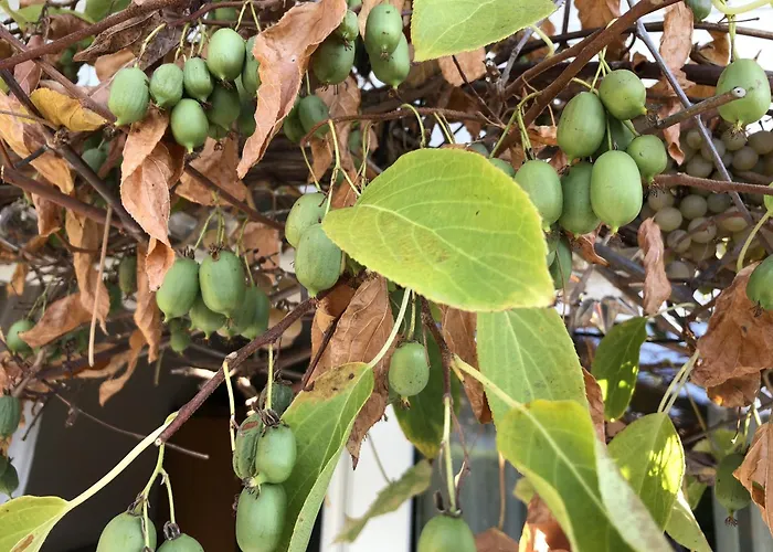 Lejlighed Bel Art Atelier Mit Grossem Parkplatz Haan