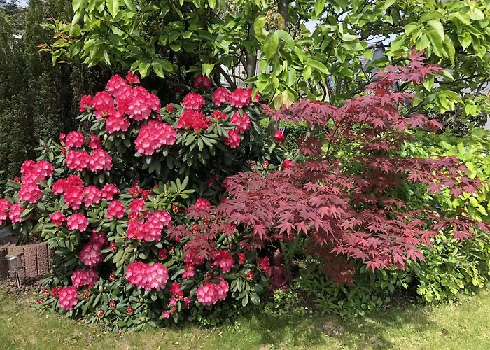 Bel Art Atelier Mit Grossem Parkplatz Apartamento *