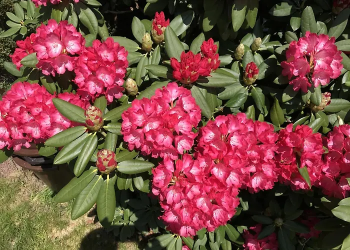 Bel Art Atelier Mit Grossem Parkplatz * Haan