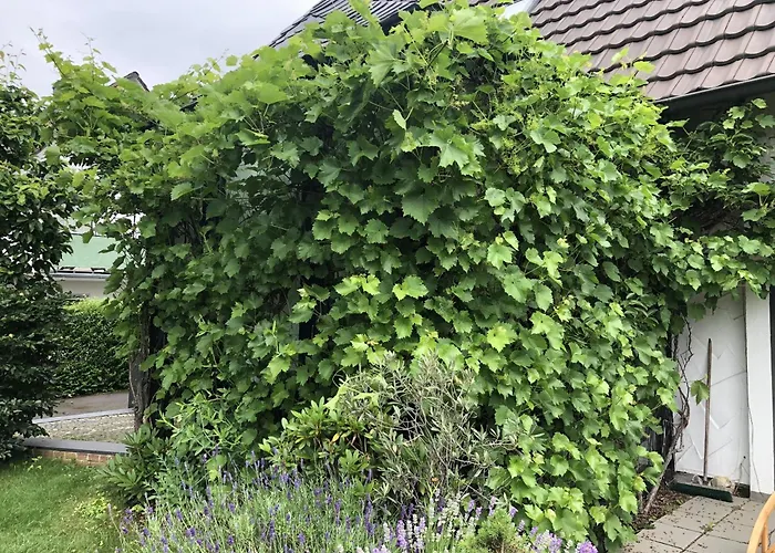 Apartamento Bel Art Atelier Mit Grossem Parkplatz