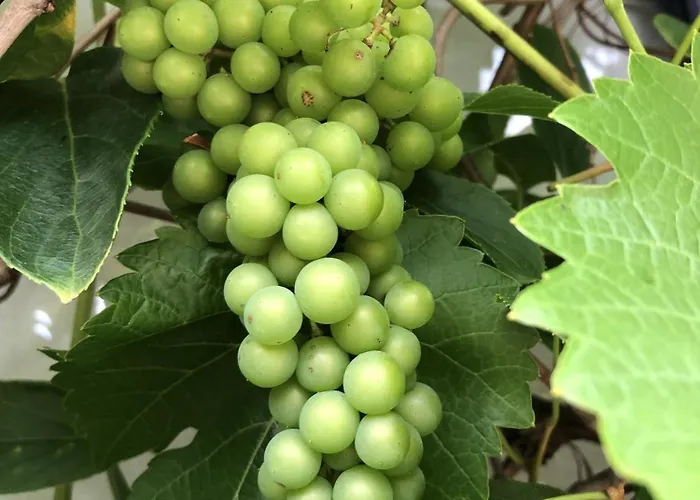 Bel Art Atelier Mit Grossem Parkplatz * Haan