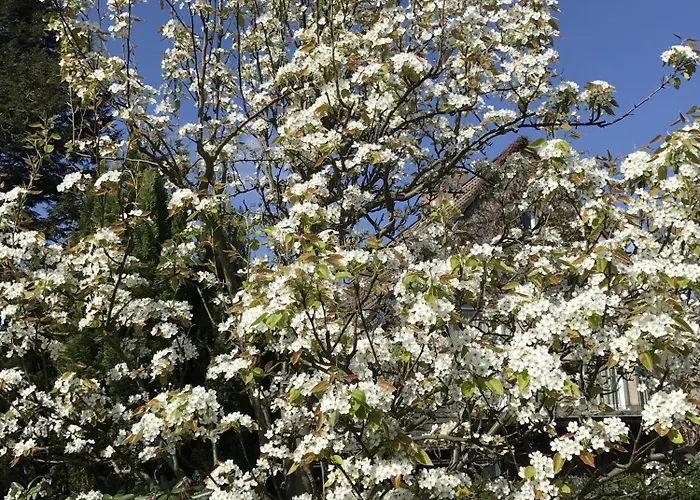 Lejlighed Bel Art Atelier Mit Grossem Parkplatz